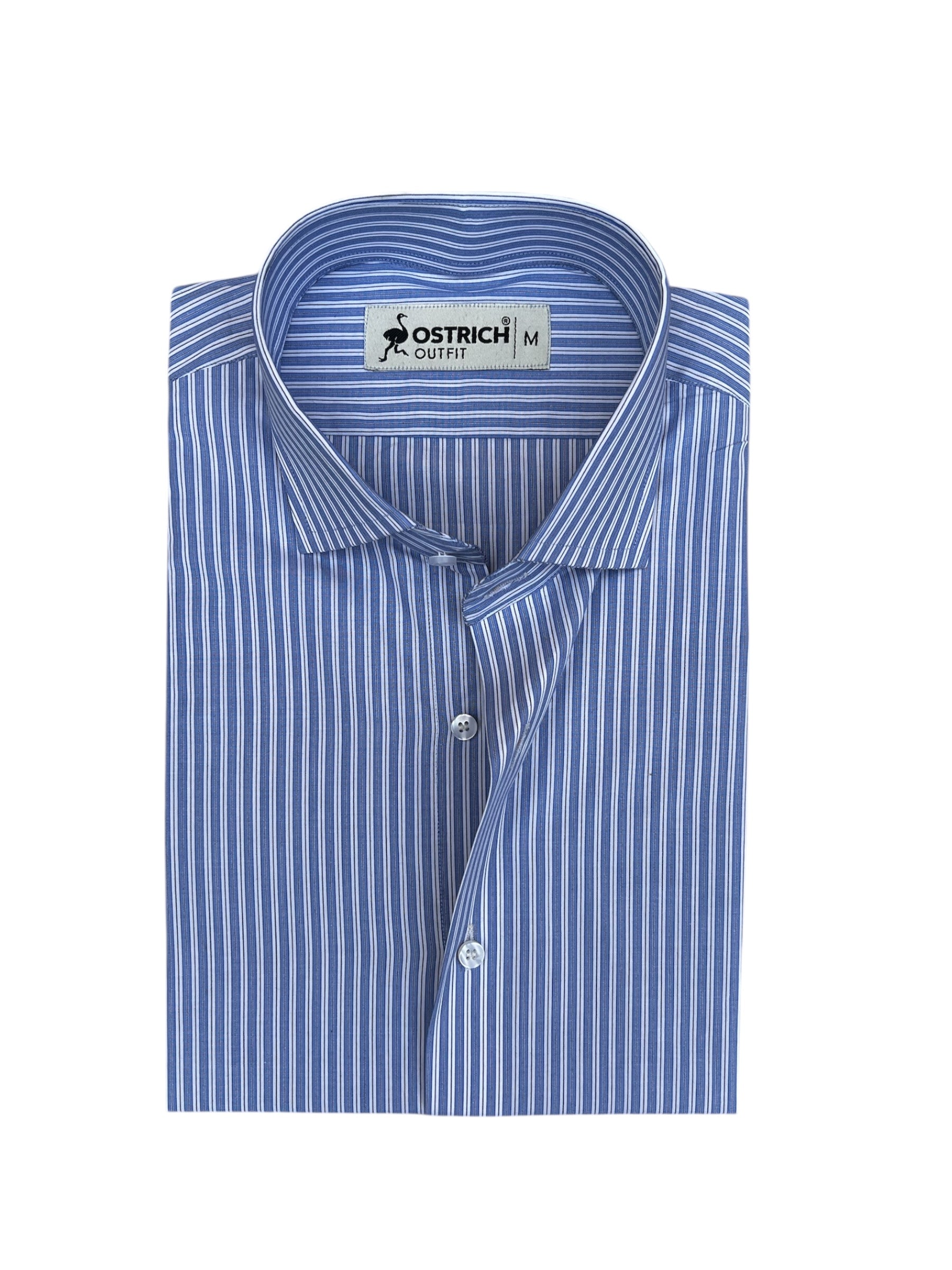 Blue & White Striped Shirt
